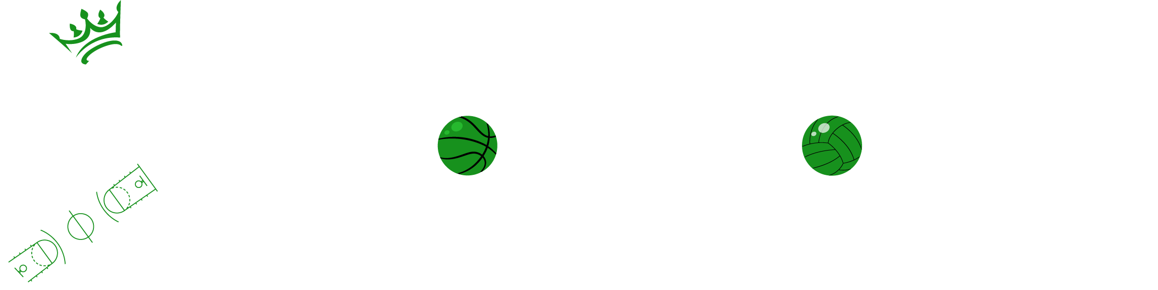 Sport King of Texas | Secondary Logo | Dallas Texas