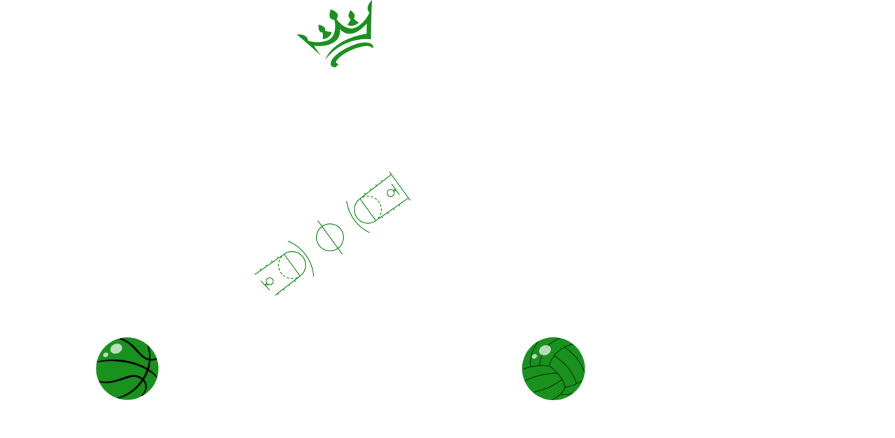 Sports Grounds Striping In Texas Sport King Of Texas sports-grounds-striping-in-texas-sport-king-of-texas