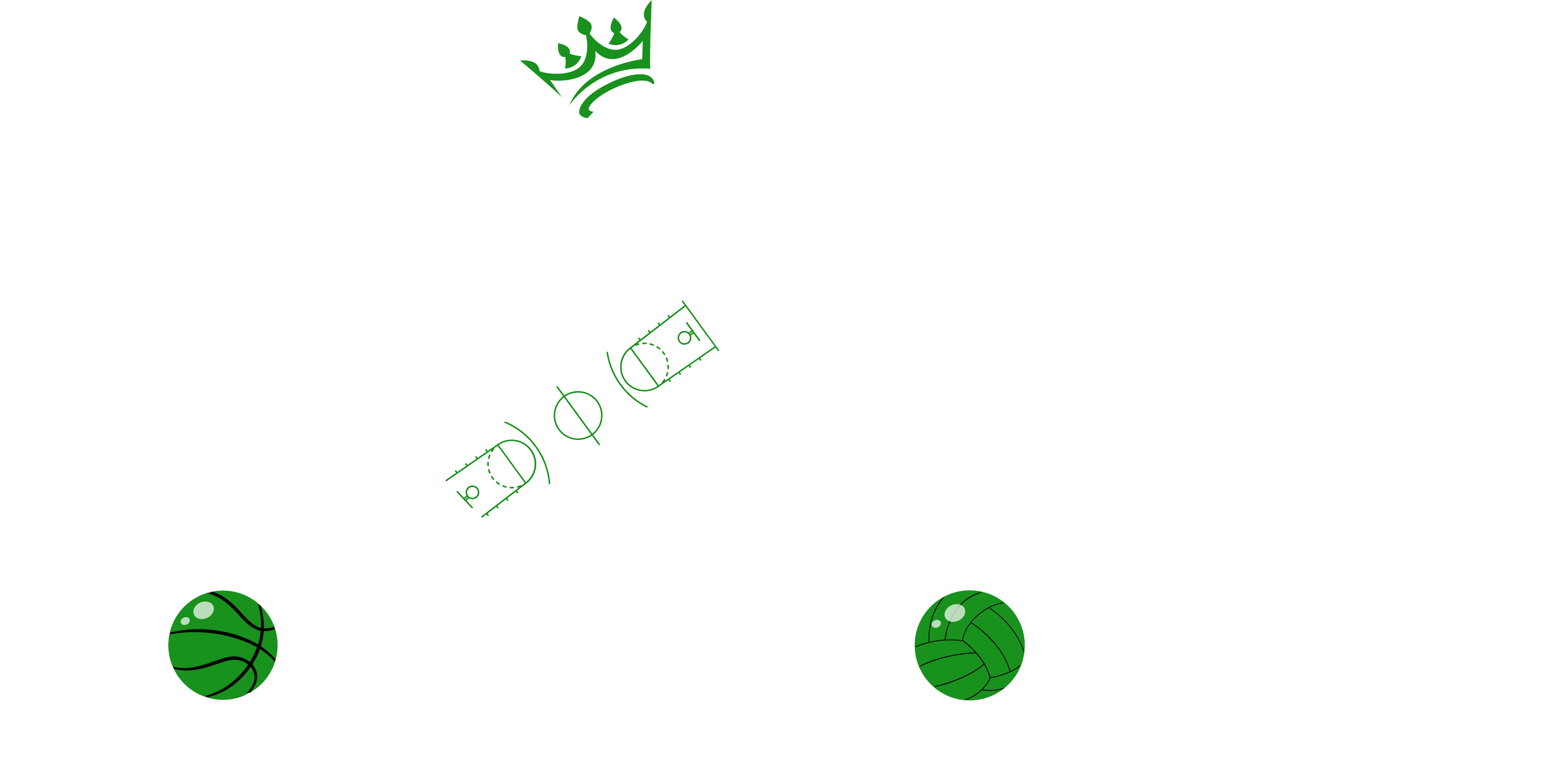 Sport King of Texas | Logo | Dallas Texas